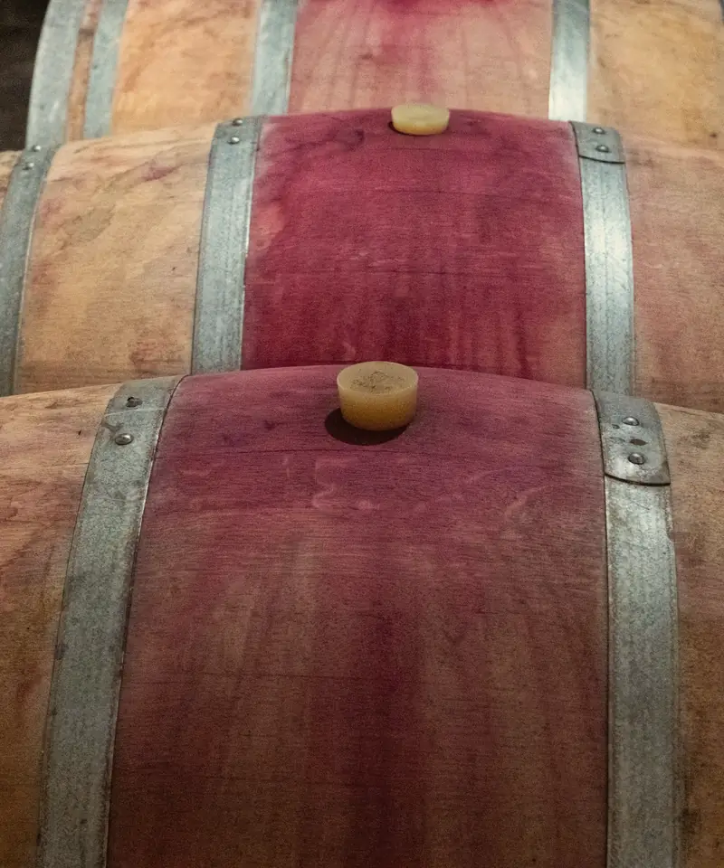 Wine-stained oak barrels stacked in the cellar