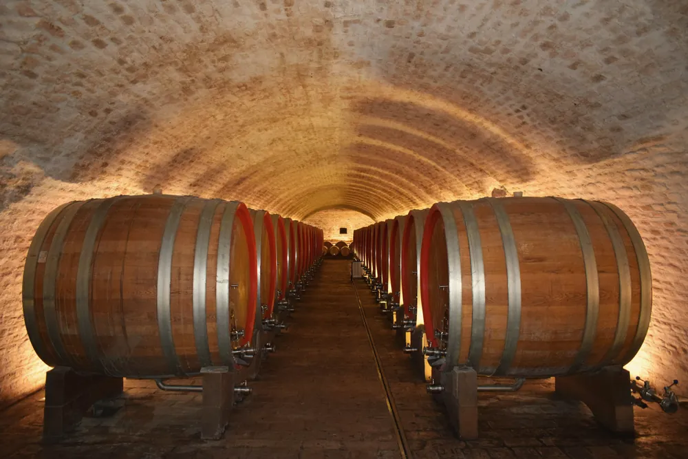 Two rows of oak barrels under a vaulted stone ceiling