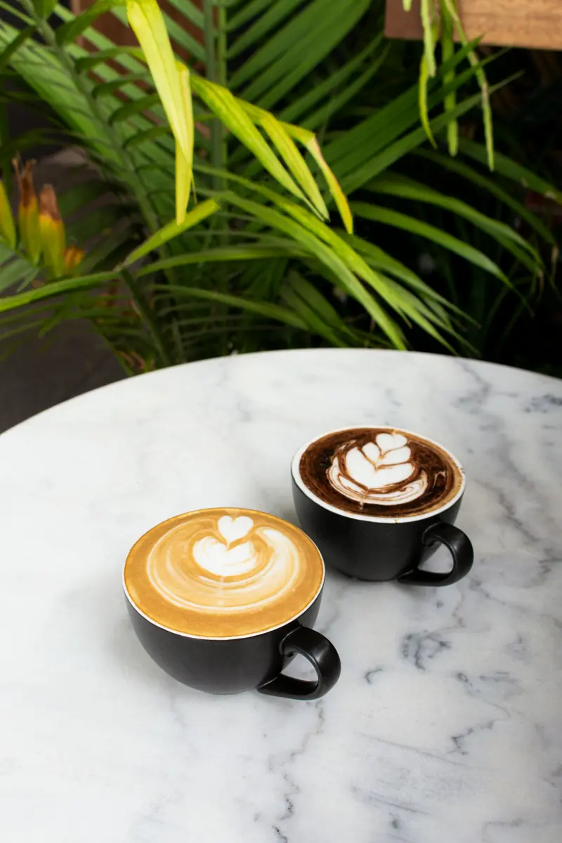 Two coffees on a marble table under a palm leaf